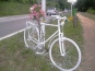bicicleta fantasma